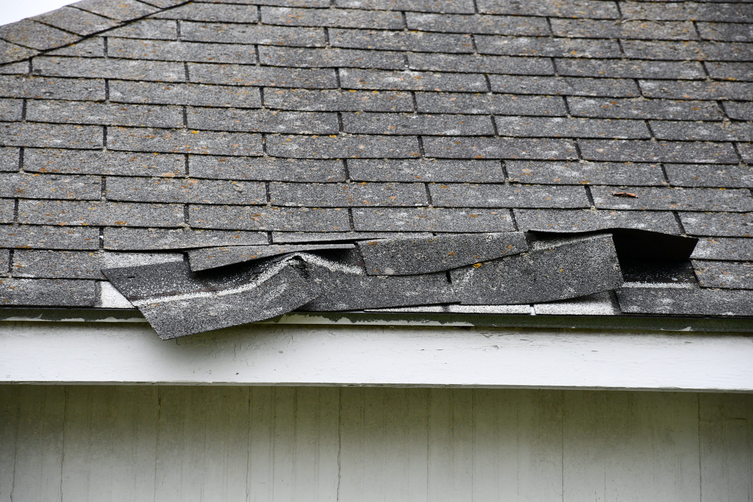 Roofing that is damaged and needs to be repaired.