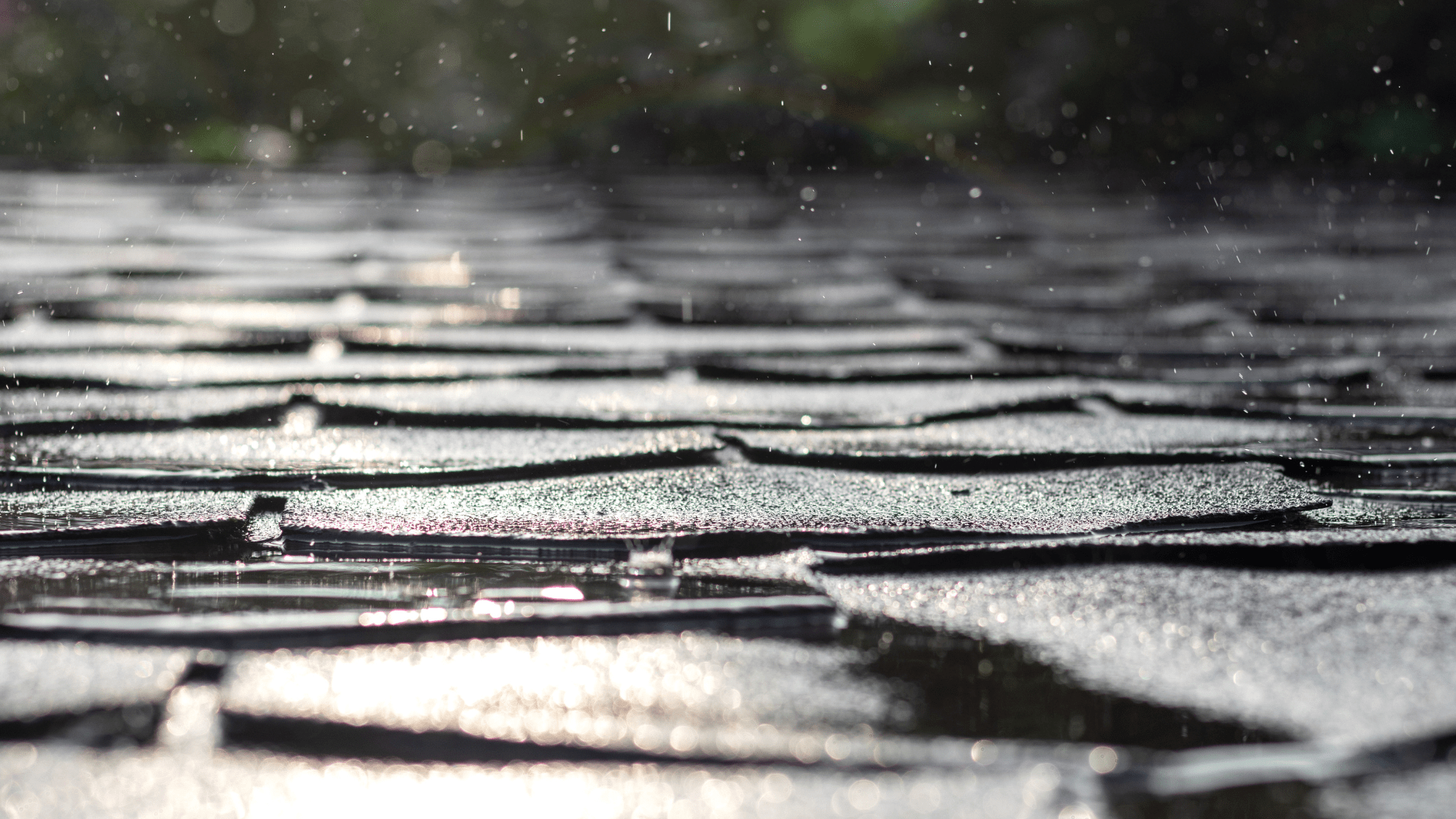 What Causes Your Roof to Wear Out? 