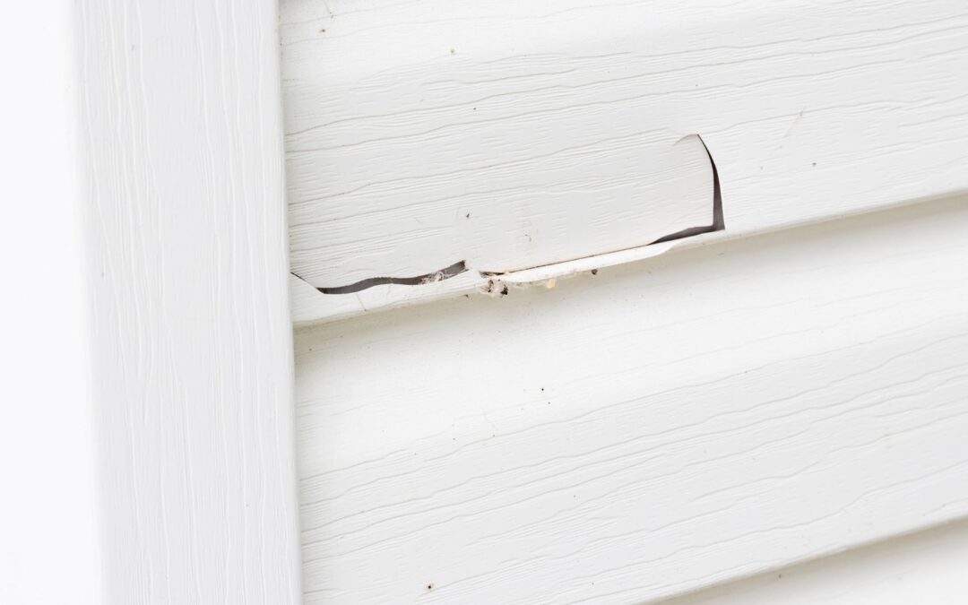 What Causes Siding to Get Damaged and What to Do about It