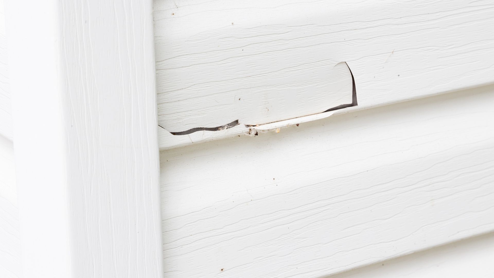 Damaged siding and what to do about it with Preferred Home Improvement.