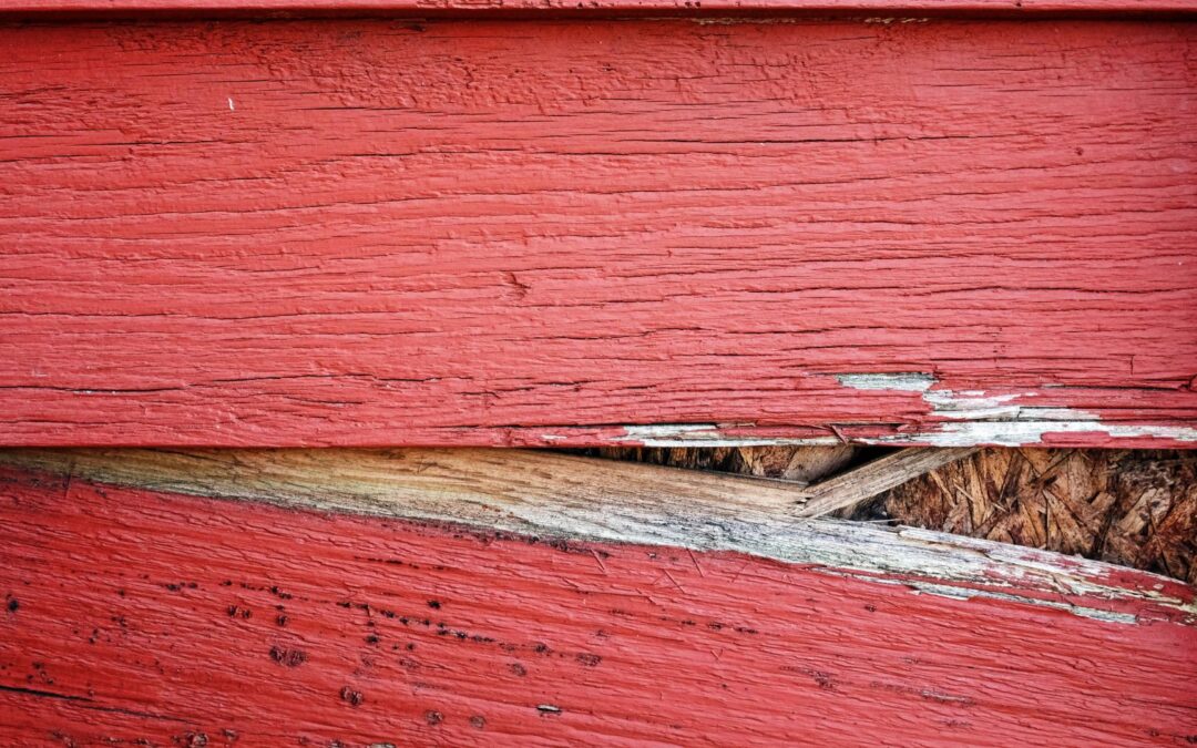 What Happens When Siding Damage Goes Unnoticed?
