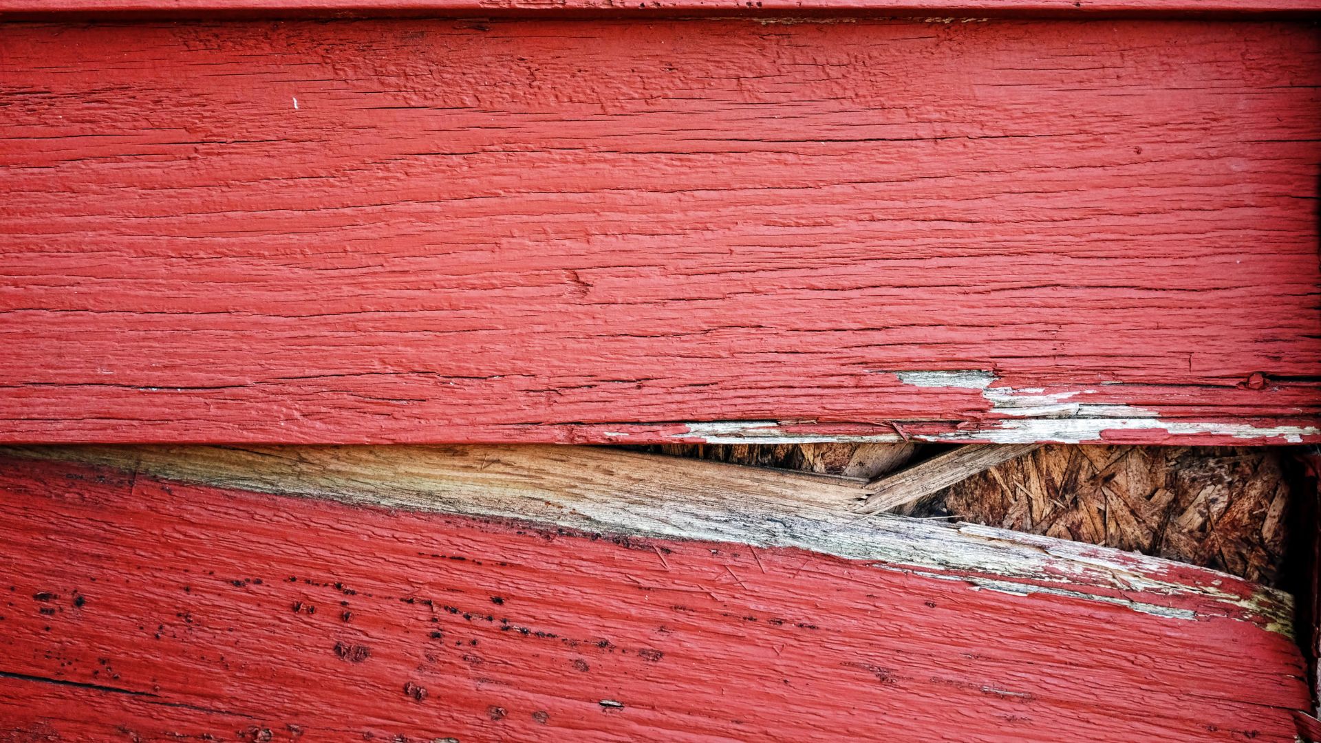 What Happens When Siding Damage Goes Unnoticed?