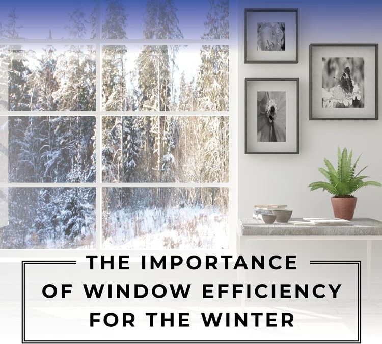The Importance of Window Efficiency for the Winter